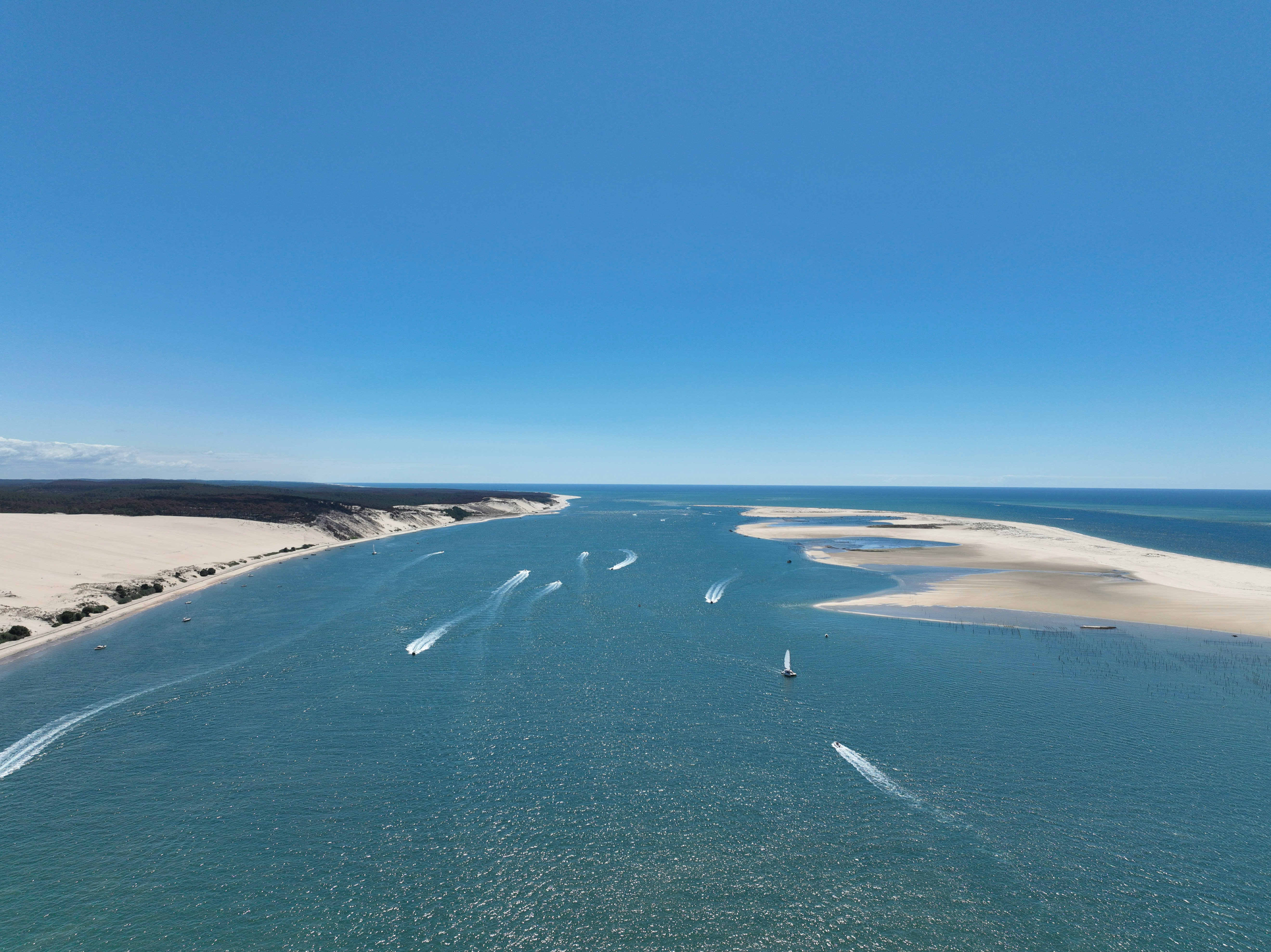 Abri de piscine bas translucide installé dans un jardin girondin